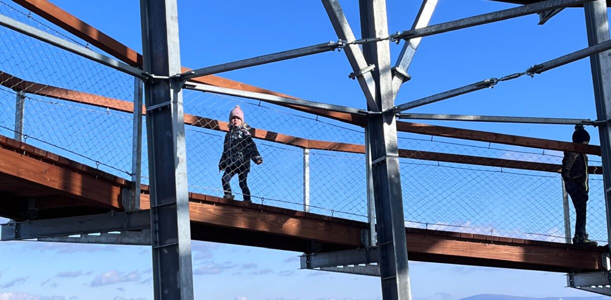 Wieża na Dzikowcu Wielkim