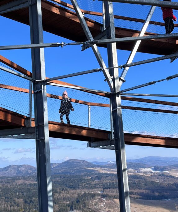 Wieża na Dzikowcu Wielkim