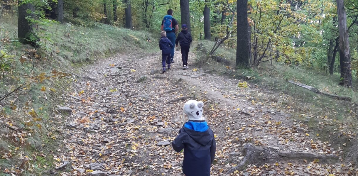 wieża widokowa na górze parkowej w Bielawie