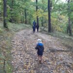 wieża widokowa na górze parkowej w Bielawie