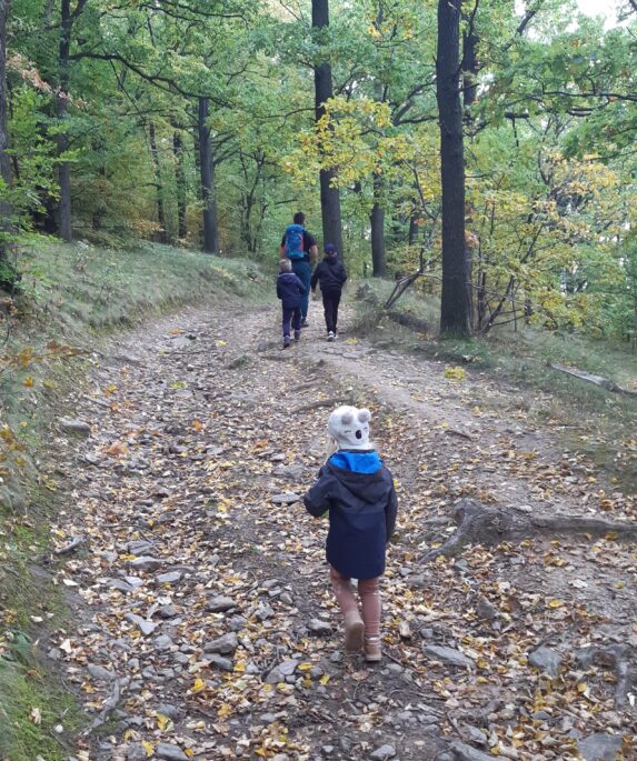 wieża widokowa na górze parkowej w Bielawie